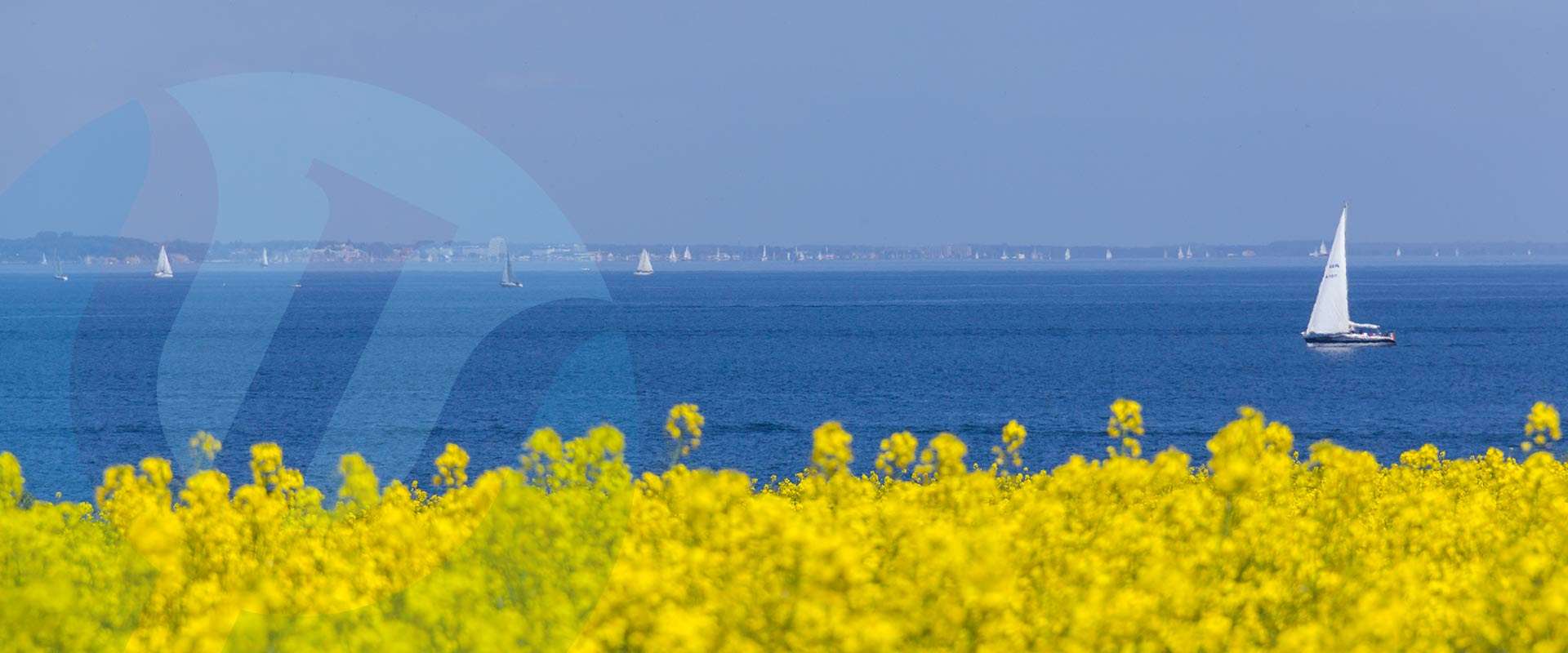 Isabell Reuß - Brodtener Steilufer in Lübeck Travemünde